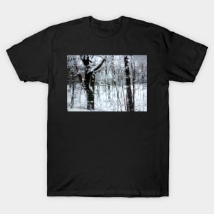 Winter Slush T-Shirt